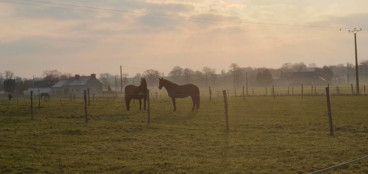 Pension sur Br&eacute;hand (22)