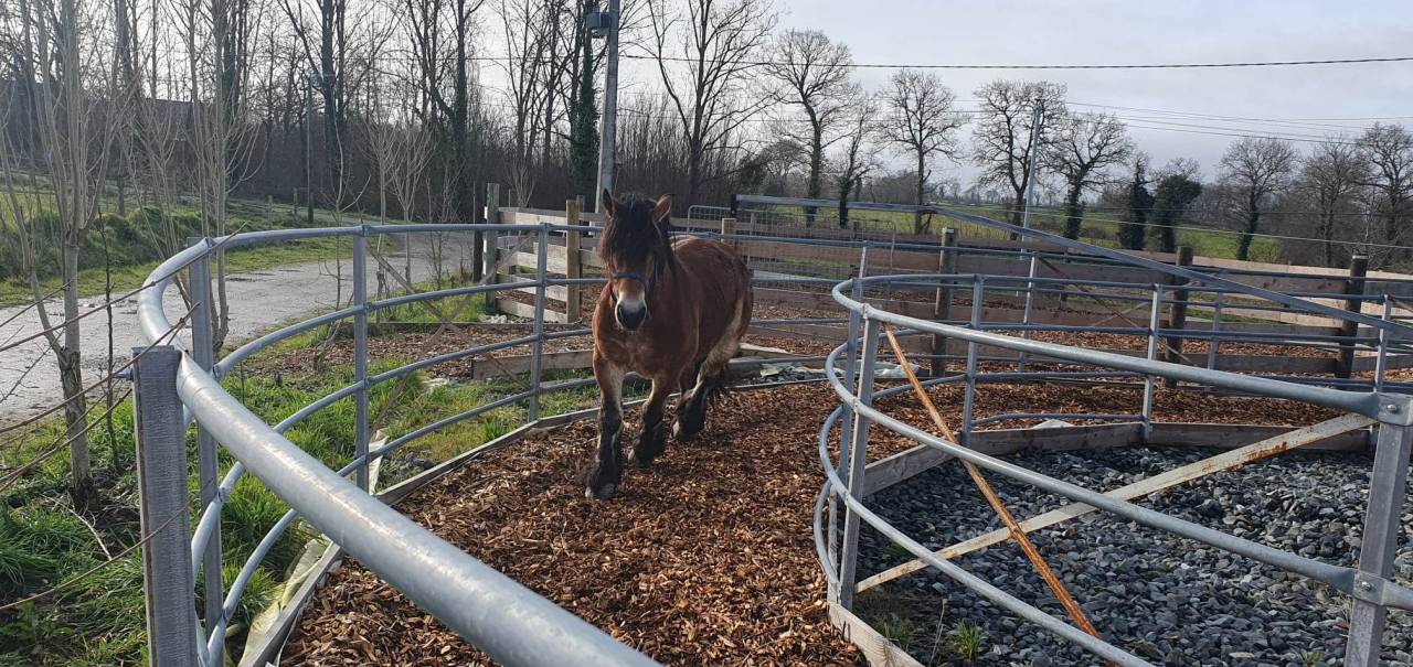 Pension sur Br&eacute;hand (22)
