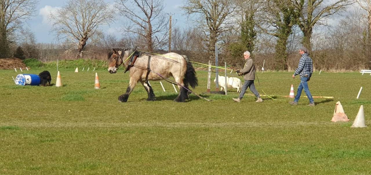 Pension sur Br&eacute;hand (22)