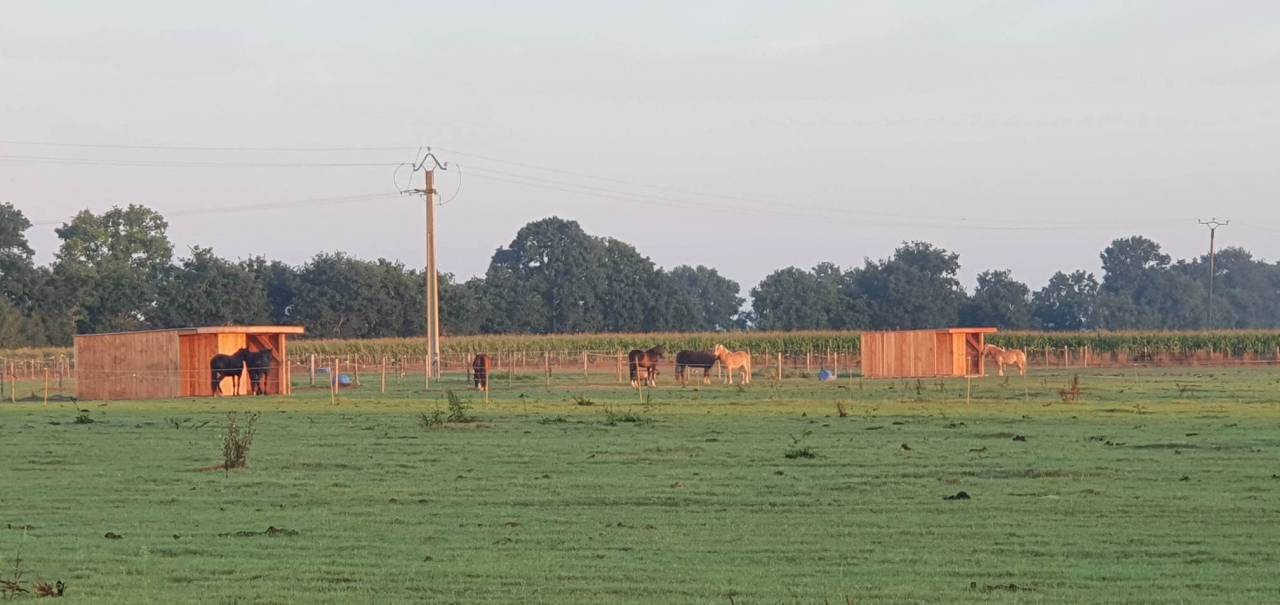 Pension sur Br&eacute;hand (22)