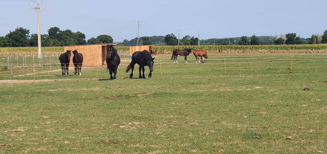 Pension sur Br&eacute;hand (22)