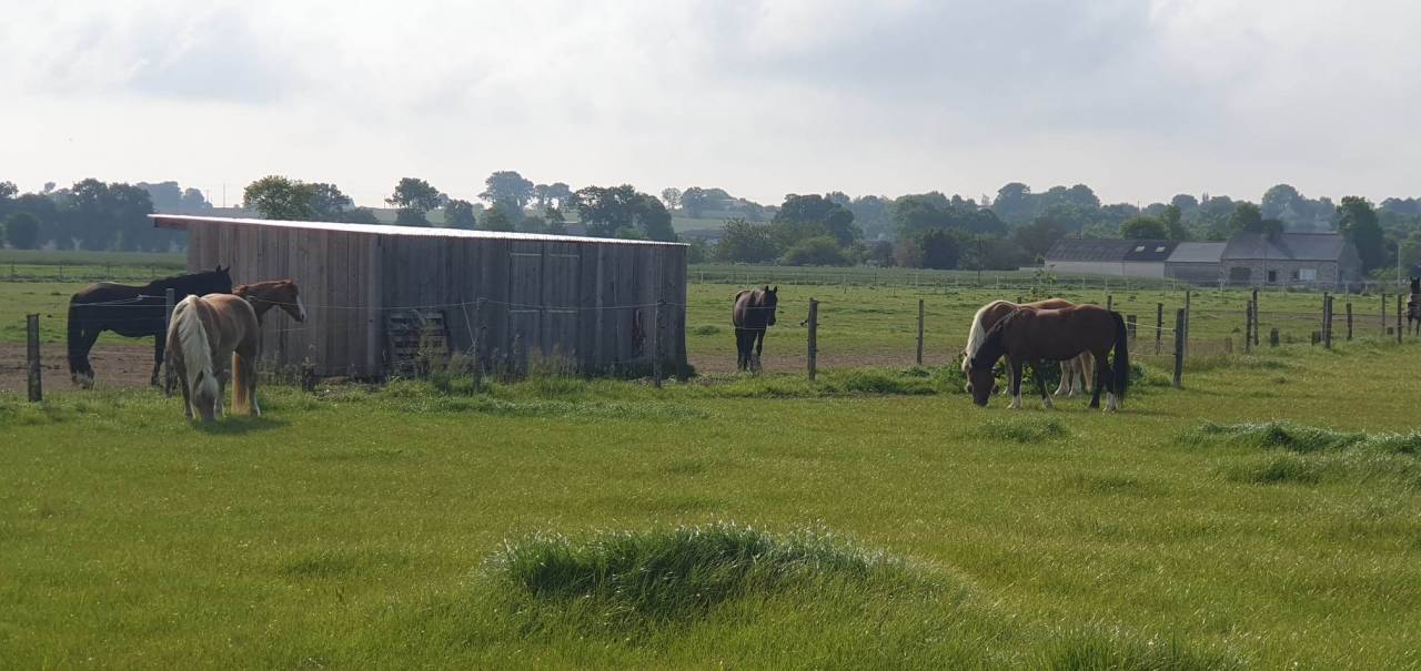 Pension sur Br&eacute;hand (22)