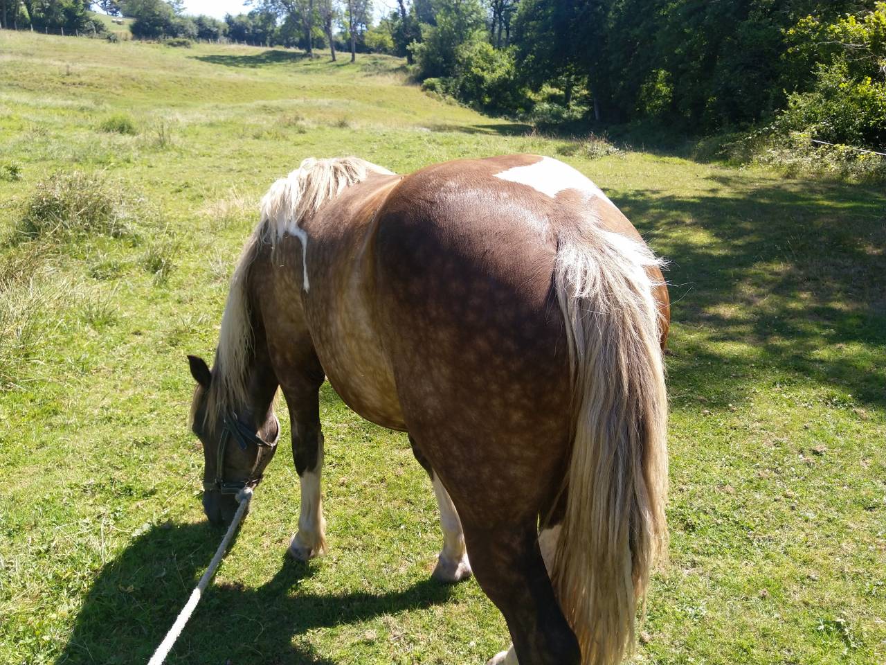 Lakhota des Charmeaux