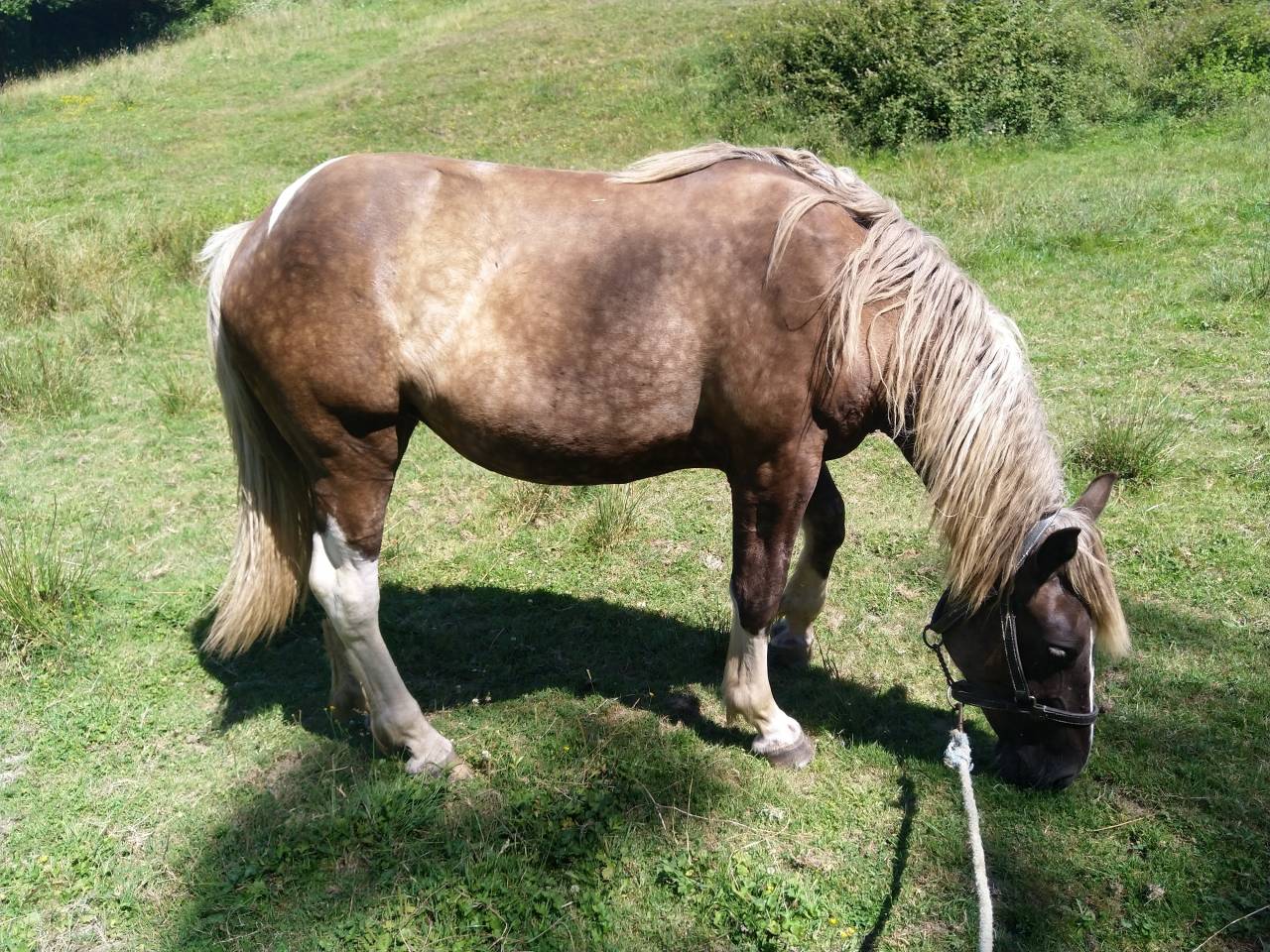 Lakhota des Charmeaux
