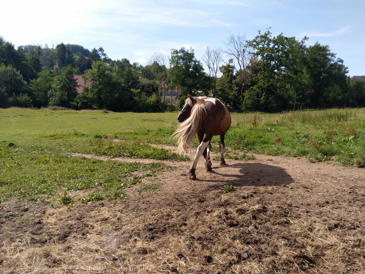 Lakhota des Charmeaux