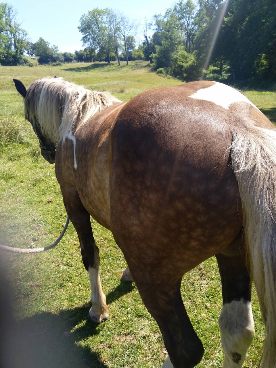 Lakhota des Charmeaux