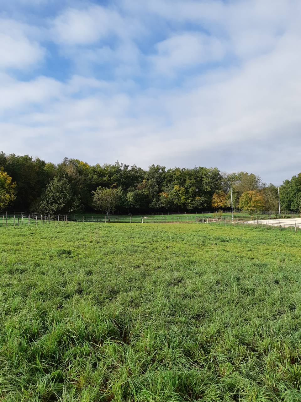 Ecurie de propriétaire - Pension Pré et Equi-piste