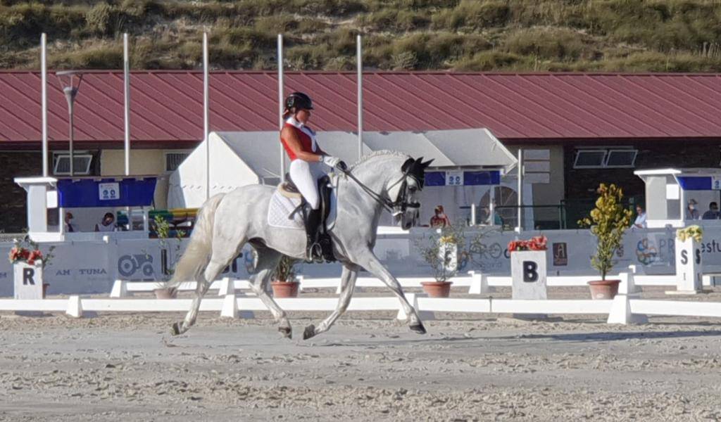 Pure race espagnole à vendre