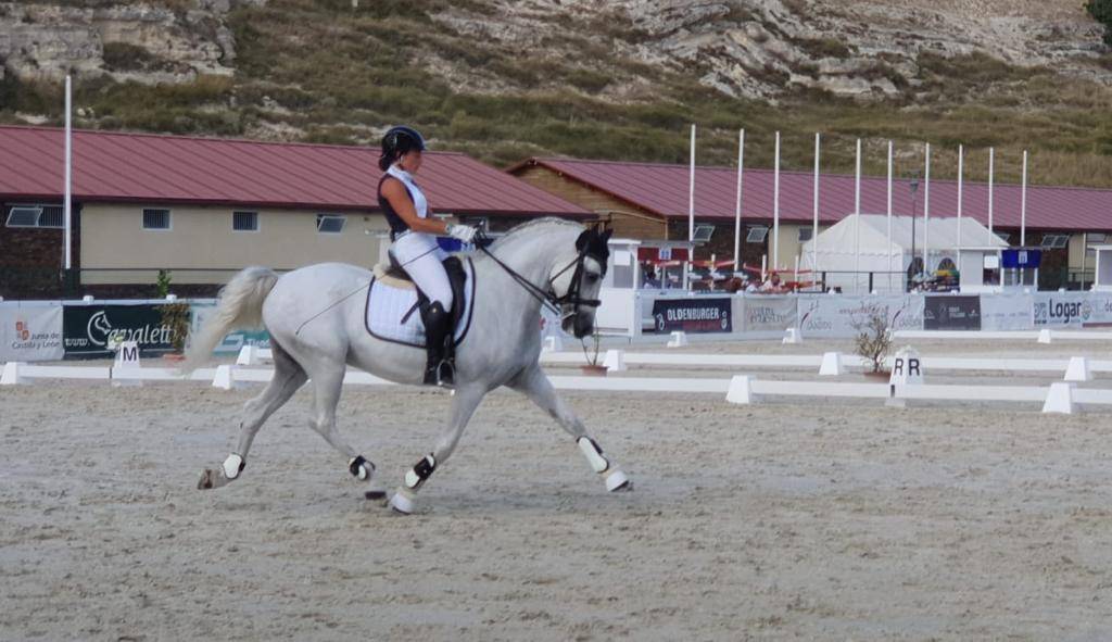 Pure race espagnole à vendre