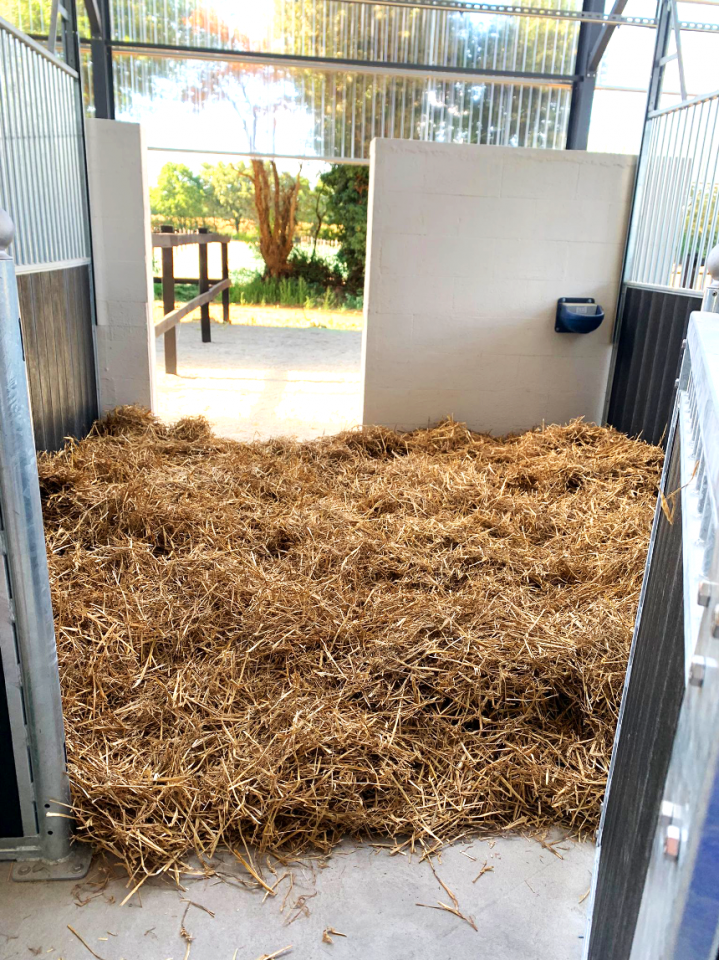 Ecurie Propri&eacute;taire Nantes