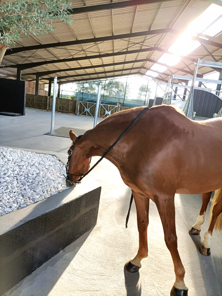 Ecurie Propri&eacute;taire Nantes