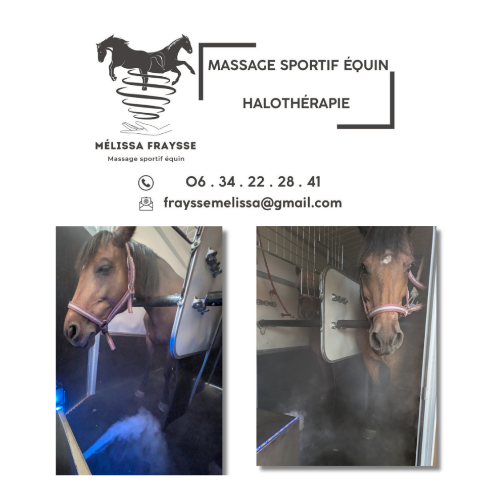 Massage sportif équin et Halothérapie