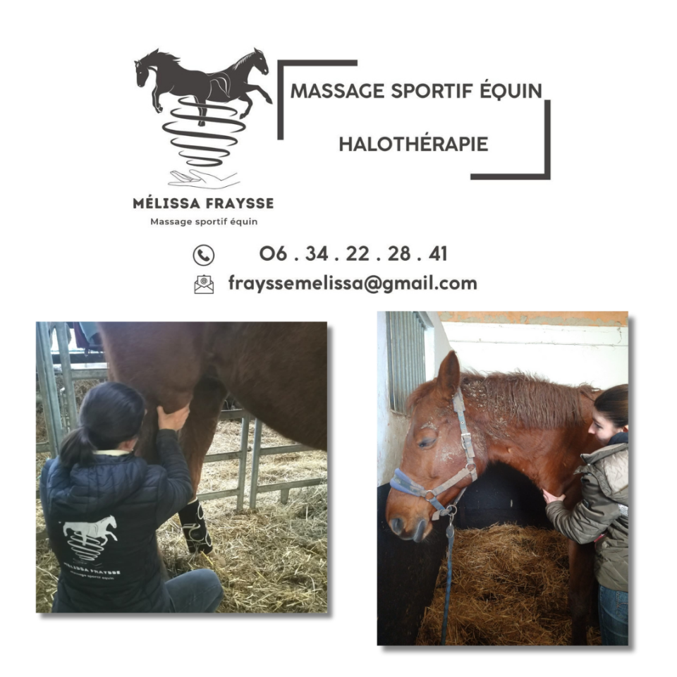 Massage sportif équin et Halothérapie