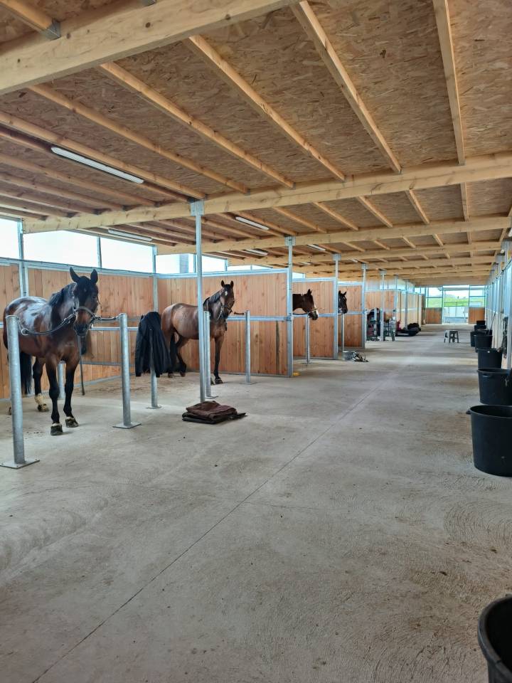 Pension chevaux - Dr&ocirc;me (Valence)