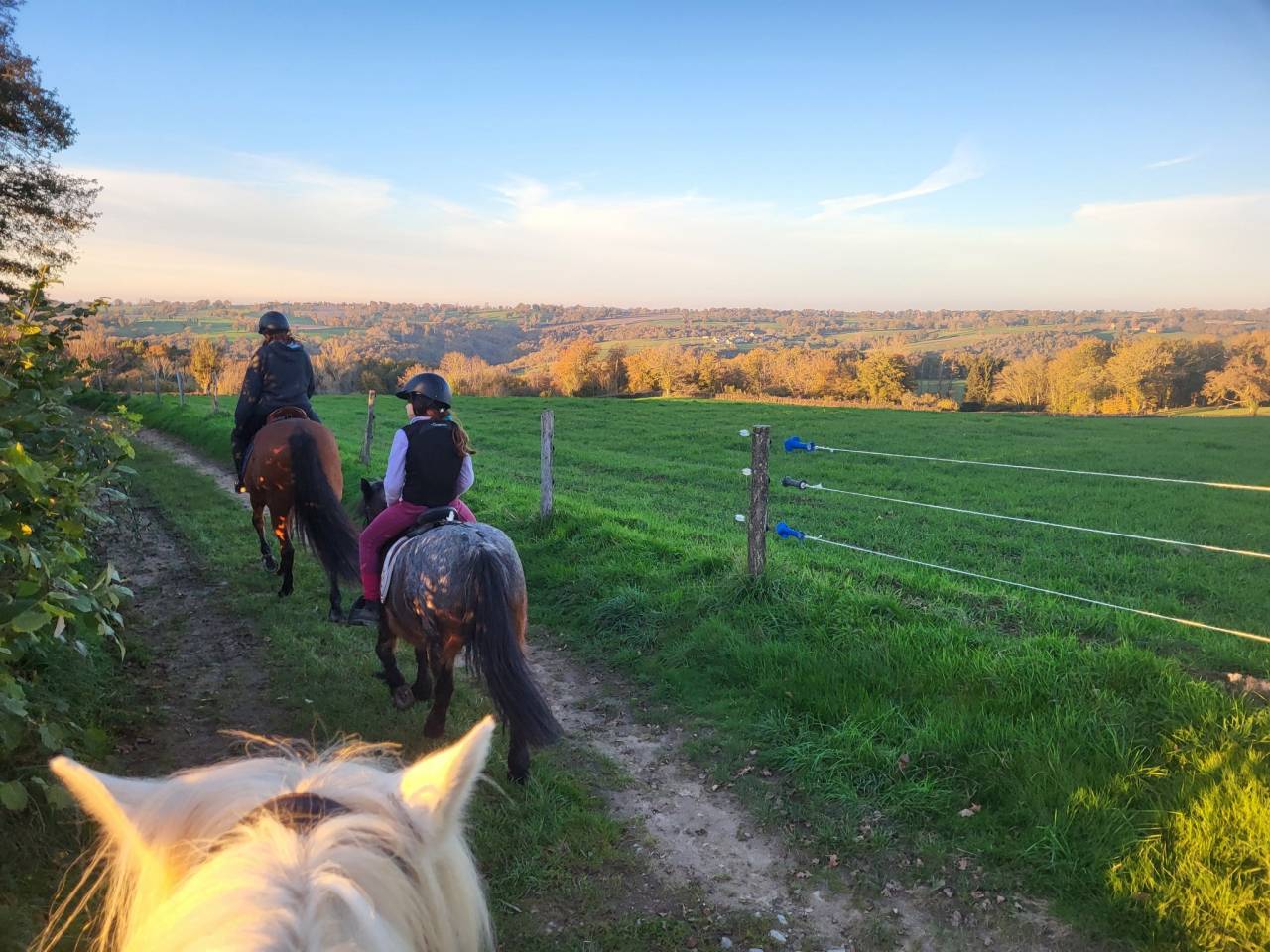 PENSION CHEVAUX PONEYS 