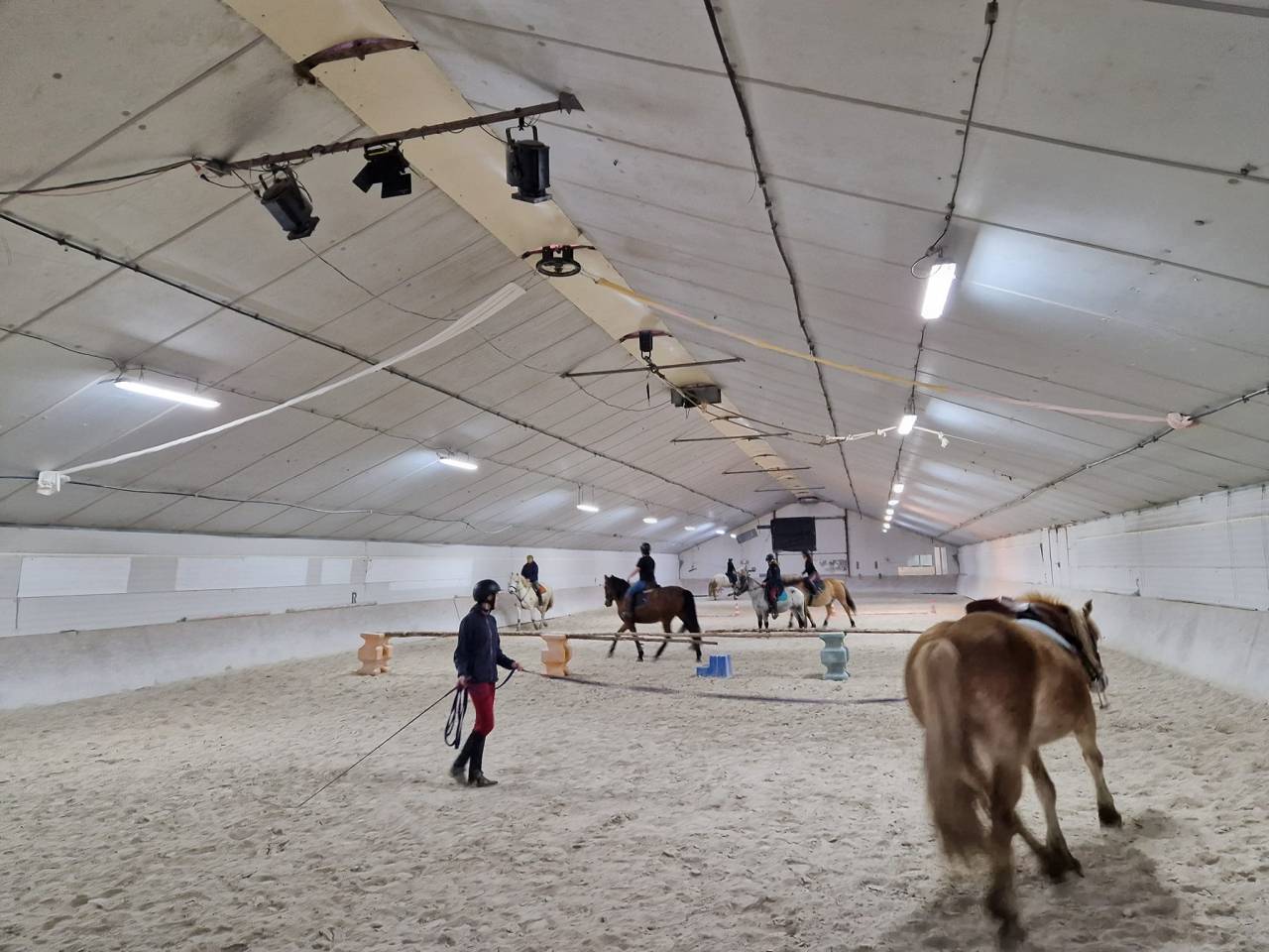 PENSION CHEVAUX PONEYS 