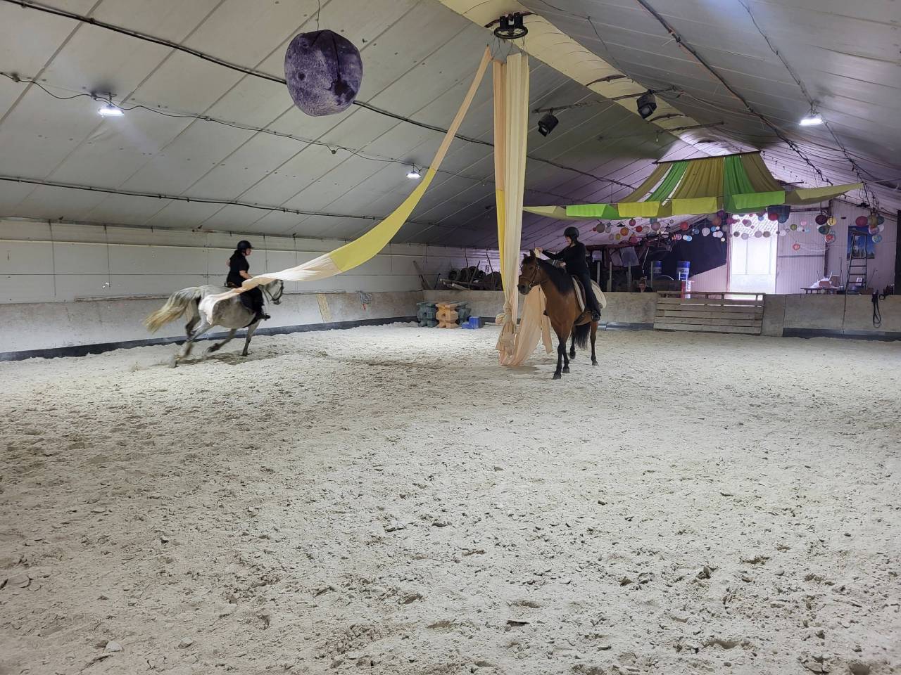 PENSION CHEVAUX PONEYS 