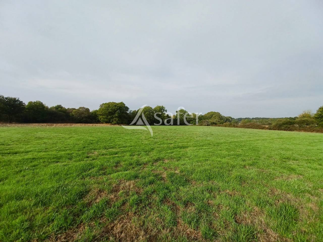 756248_1722566890_7983.jpg