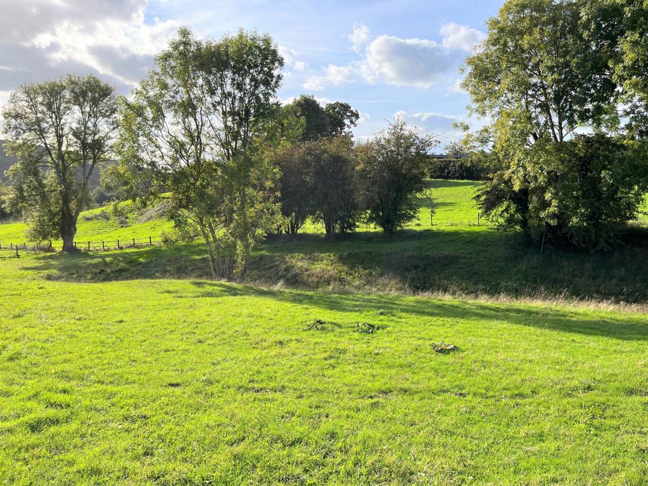 Prés herbage de qualité pour retraité Lisieux-Hermival