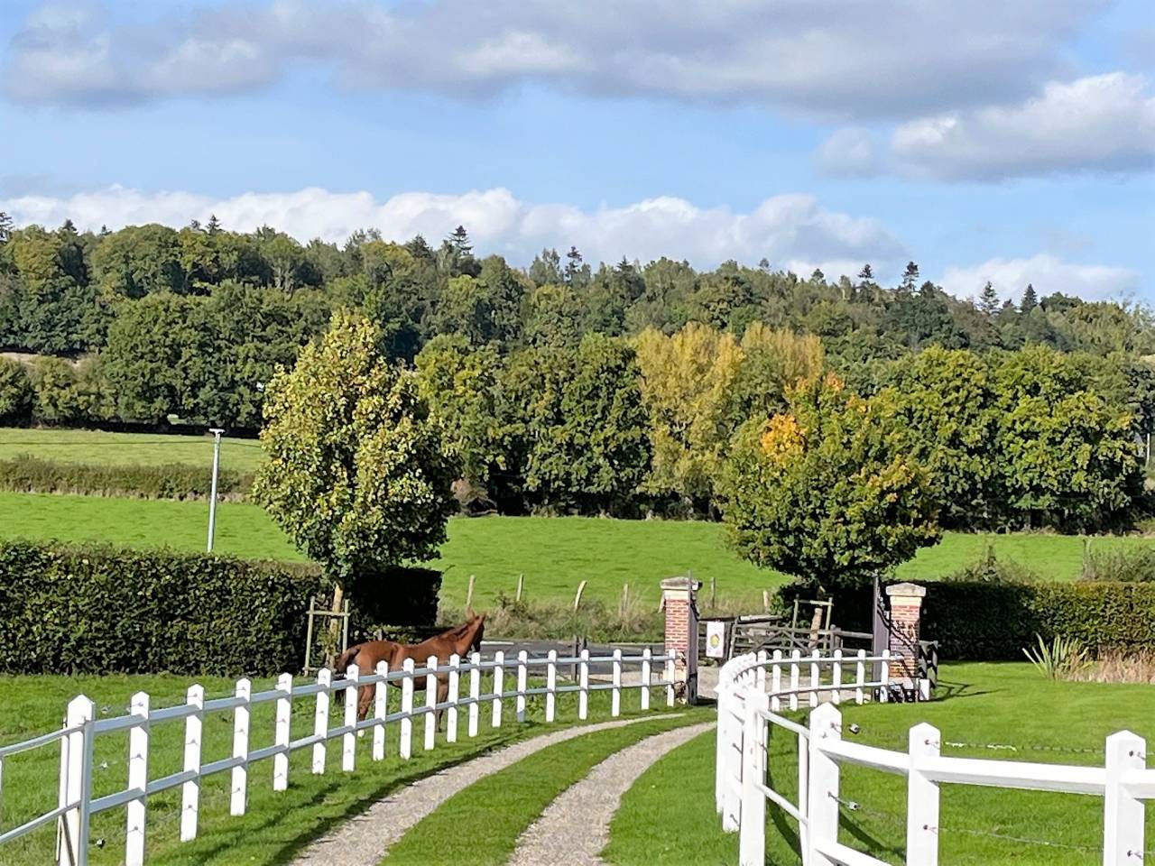 Prés herbage de qualité pour retraité Lisieux-Hermival
