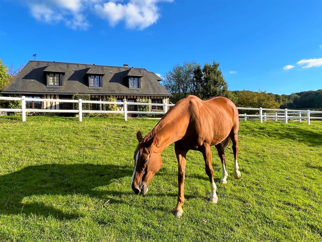 Prés herbage de qualité pour retraité Lisieux-Hermival