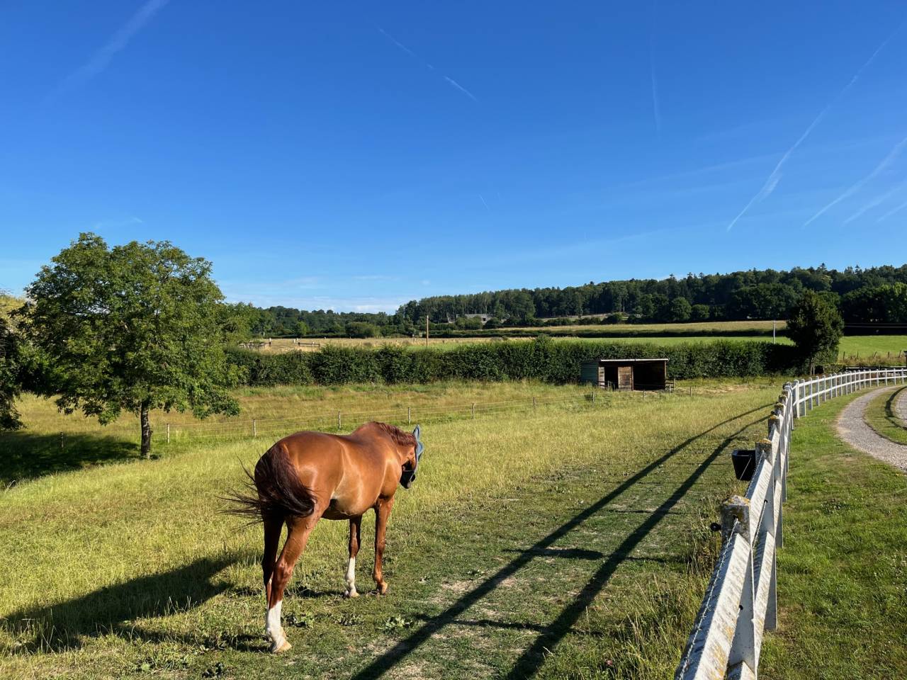 Prés herbage de qualité pour retraité Lisieux-Hermival