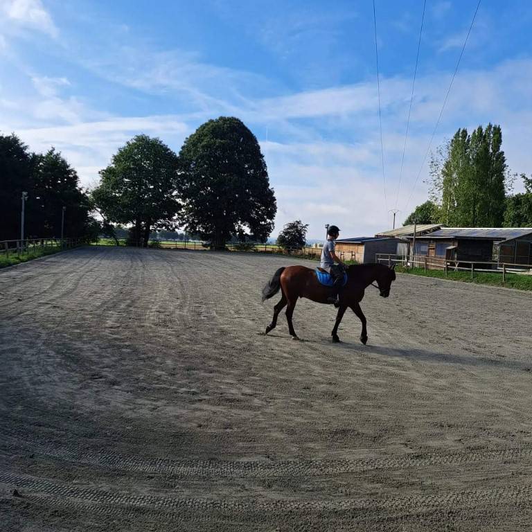 pension dans une &eacute;curie de propri&eacute;taires