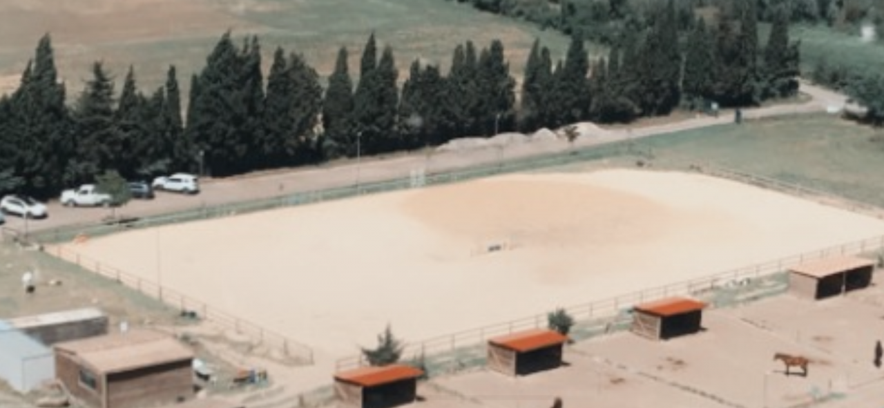 Pension écuries de propriétaires paddocks/box (13)