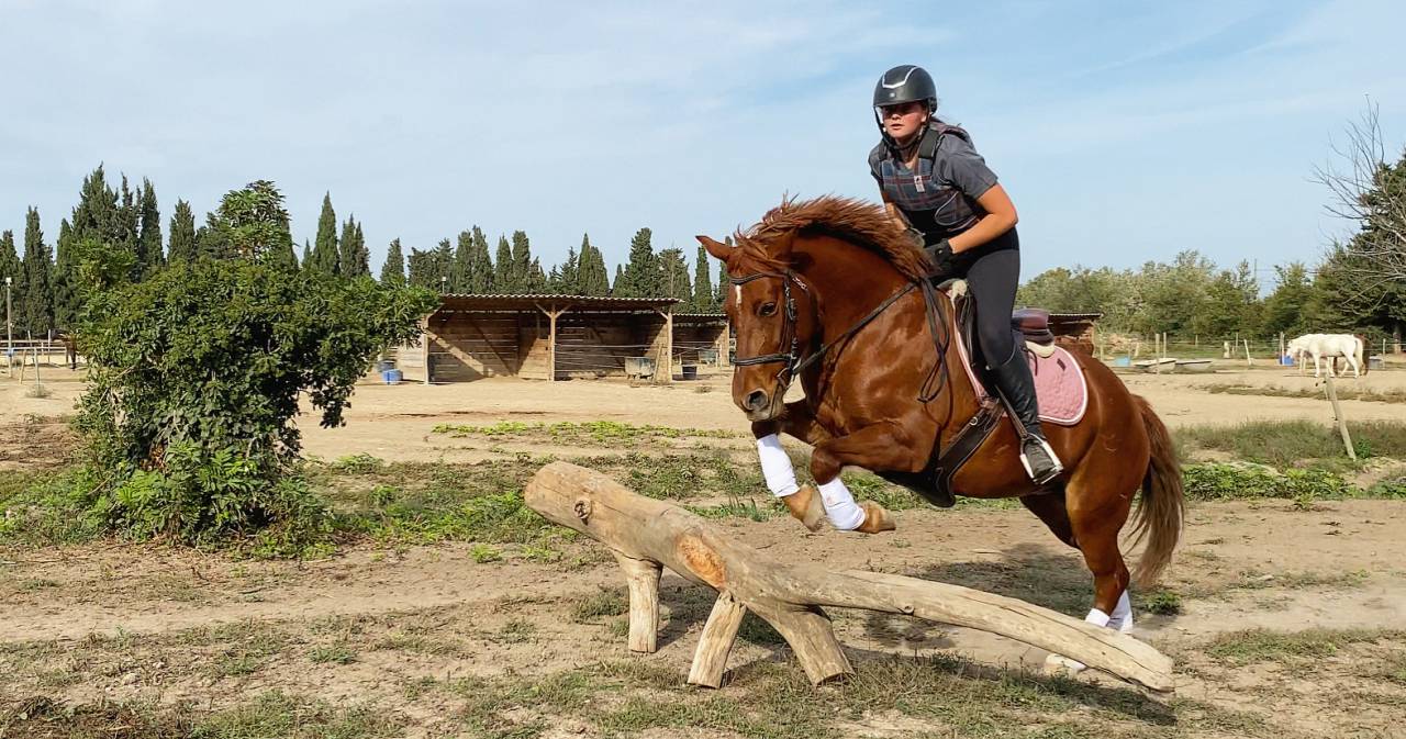 Pension écuries de propriétaires paddocks/box (13)