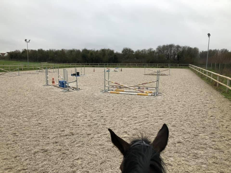 Pension cheval/poney - Ecurie de propri&eacute;taires