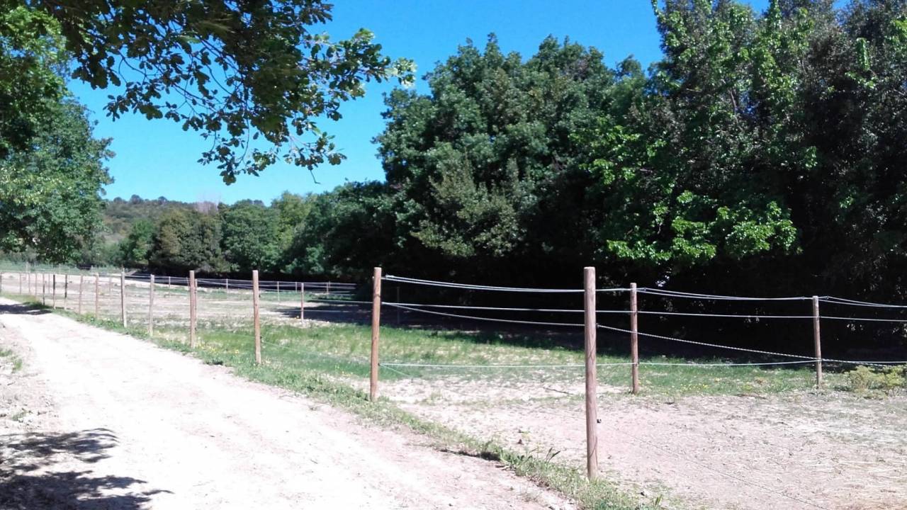 Pension de propriétaire paddock/box