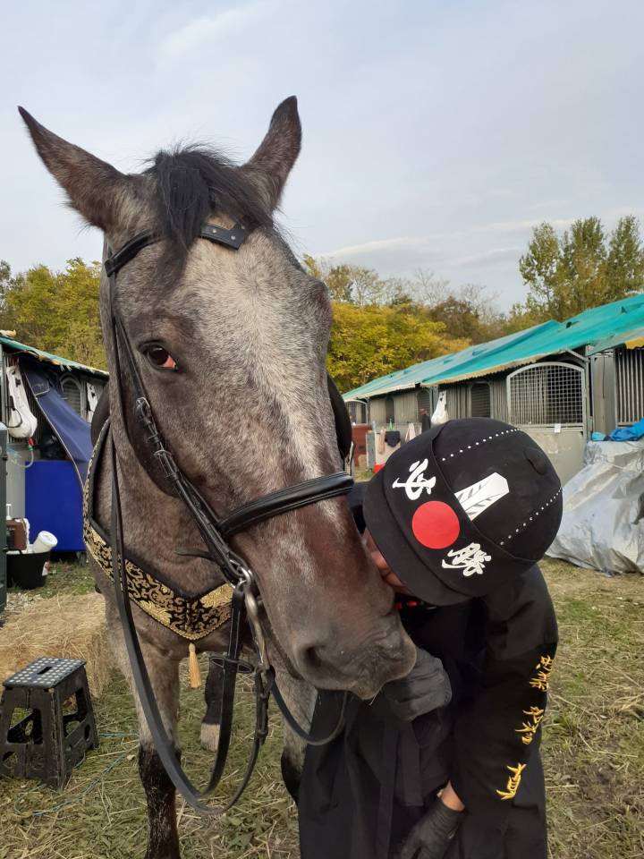 TP/DP sur cheval d'expérience