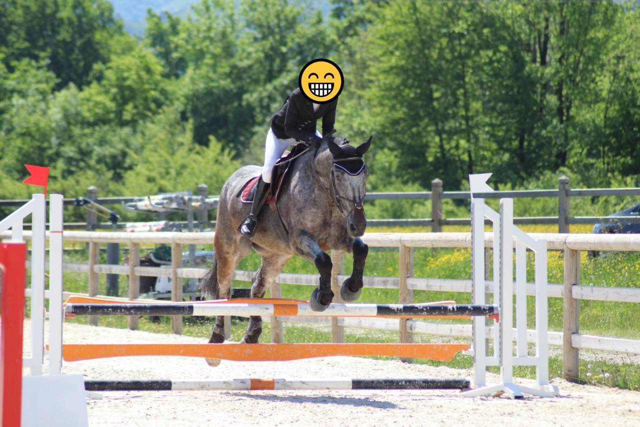 TP/DP sur cheval d'expérience