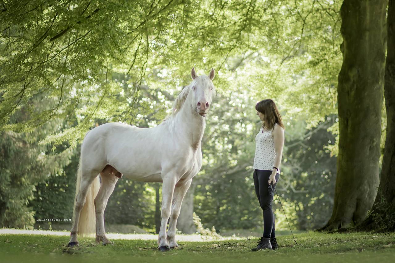 Etalon welshk crème plein papier agréé 