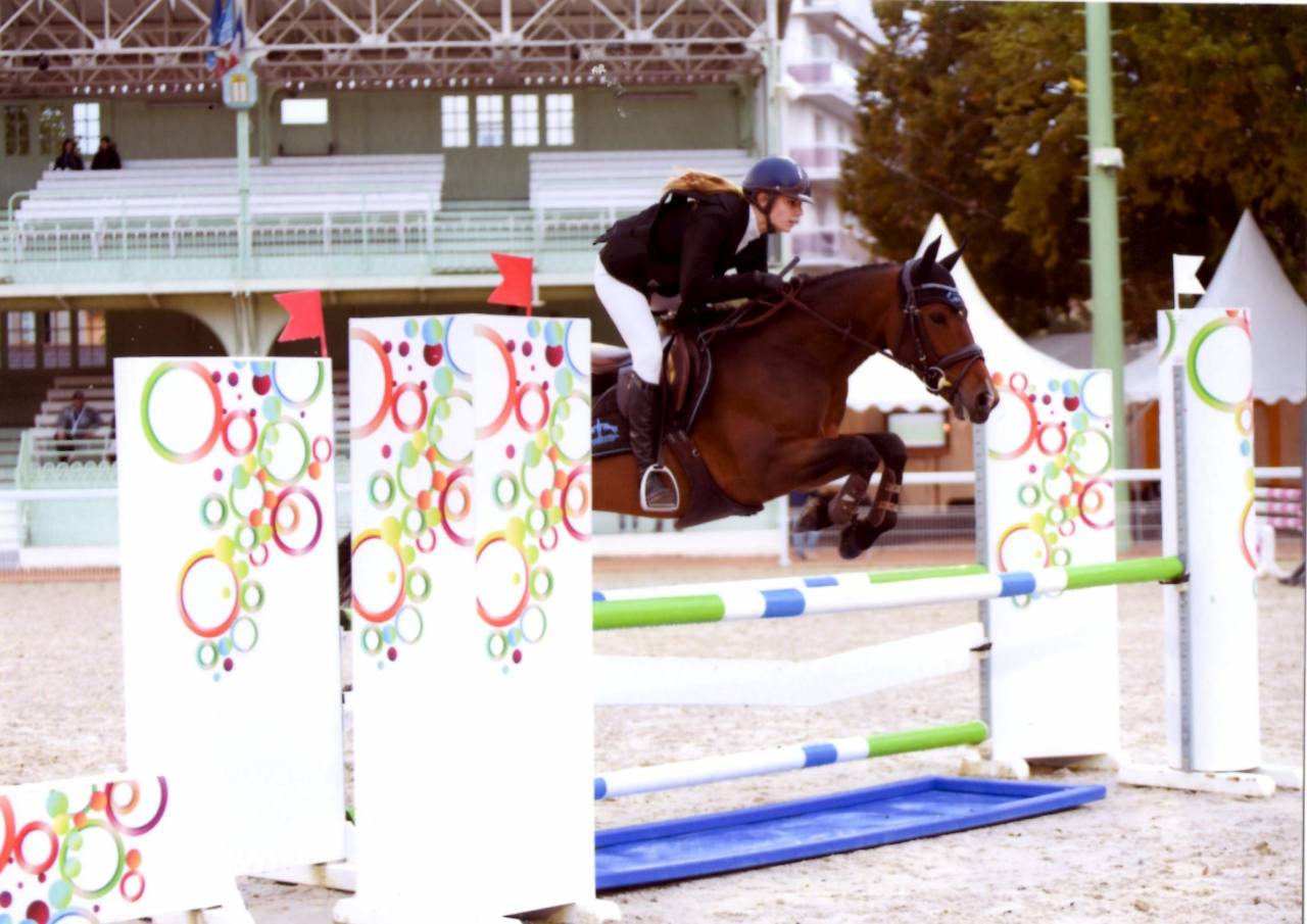 Poney Français de Selle