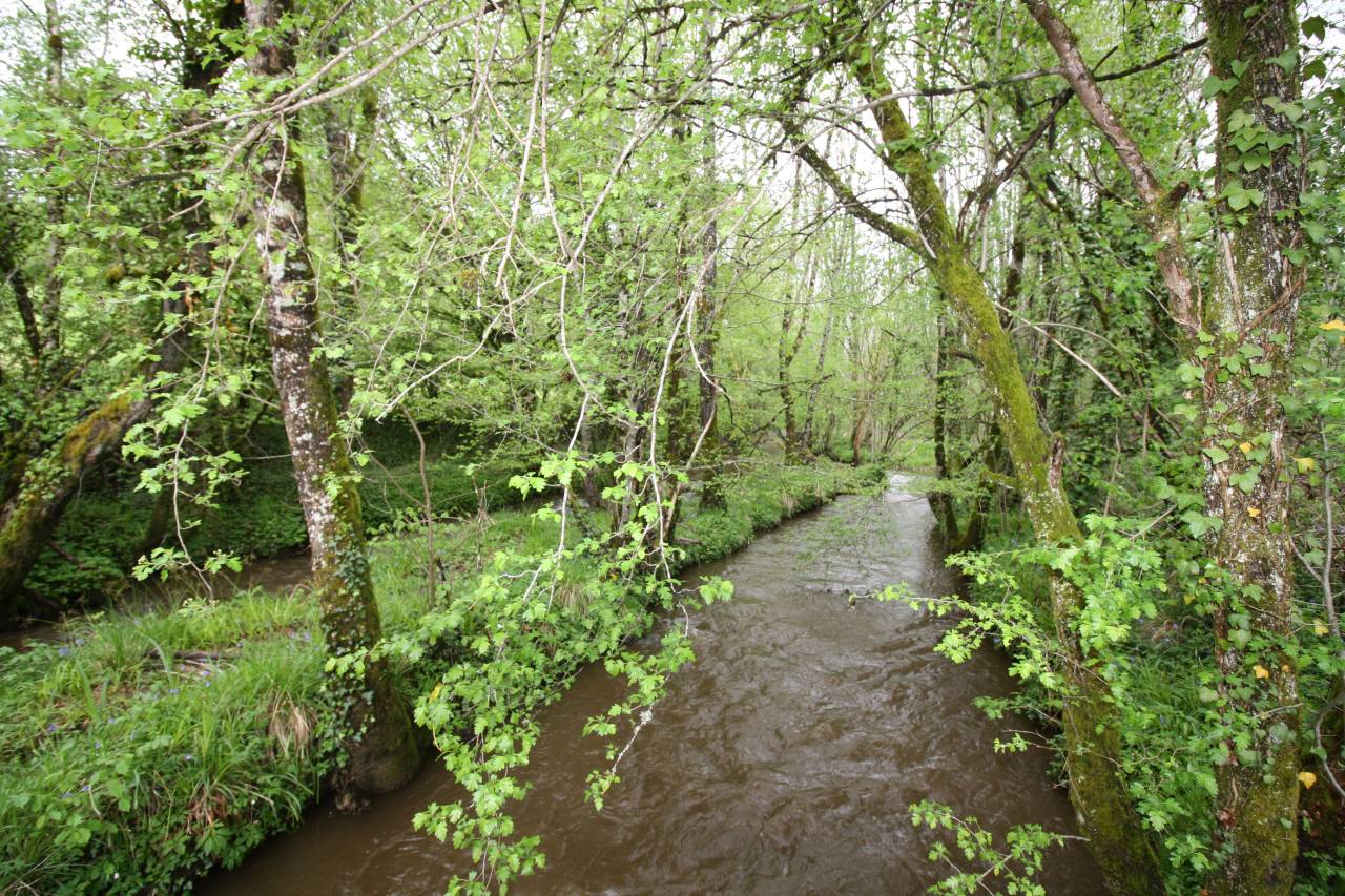 Pension pour &eacute;quid&eacute;s en P&eacute;rigord,  grands espaces 