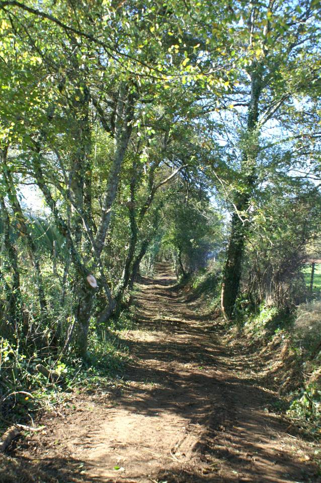 Pension pour &eacute;quid&eacute;s en P&eacute;rigord,  grands espaces 