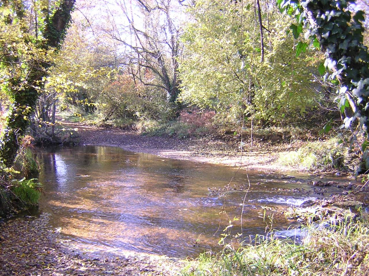 Pension pour &eacute;quid&eacute;s en P&eacute;rigord,  grands espaces 