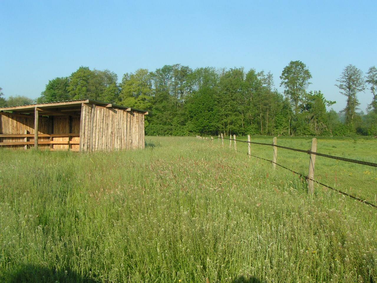 PENSION TOUS TYPES DE CHEVAUX 