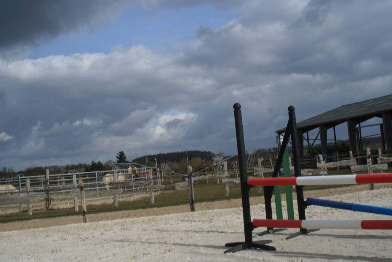 PENSION TOUS TYPES DE CHEVAUX 