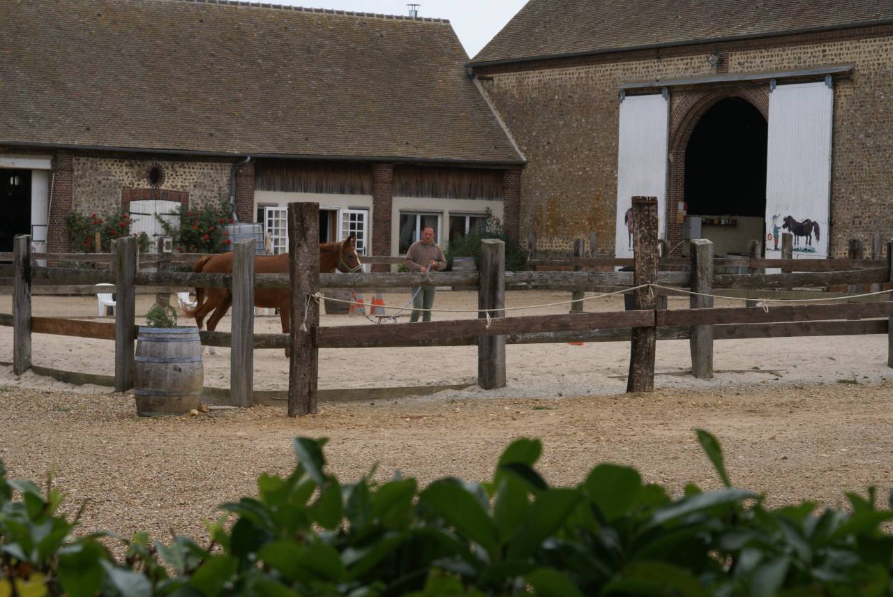 PENSION TOUS TYPES DE CHEVAUX 