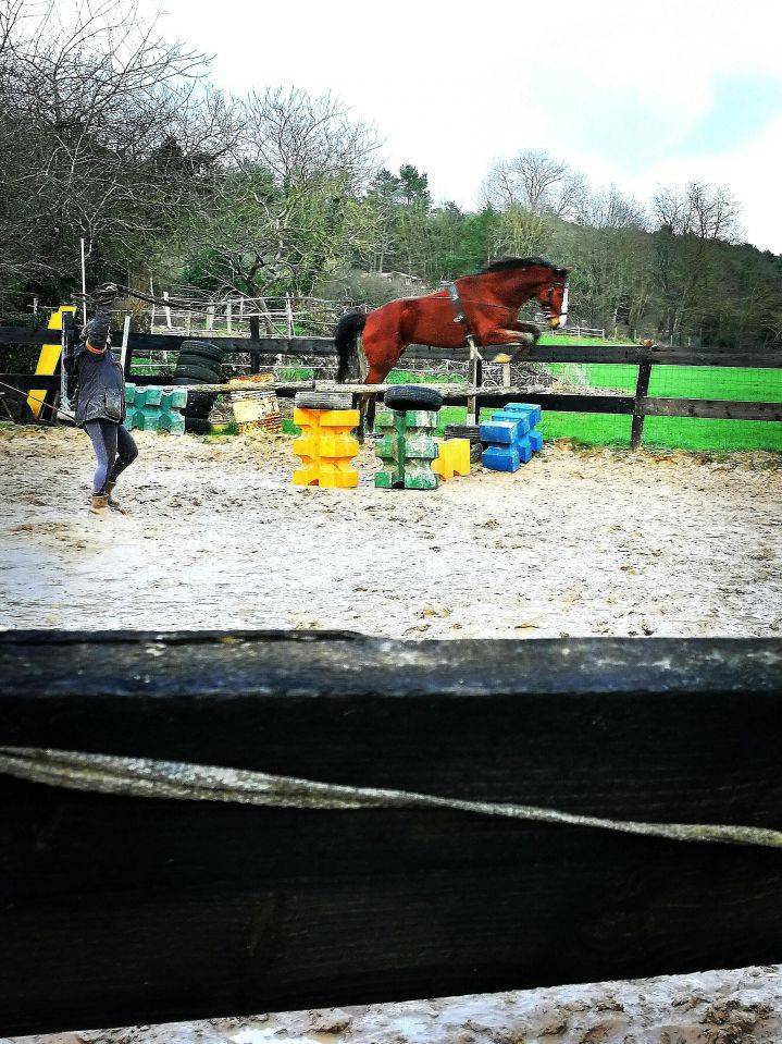 91/ Pension Paddock box, 100% pr&eacute; proche Milly la for&ecirc;t