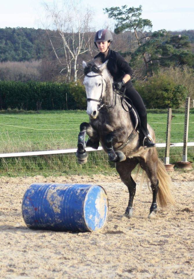 91/ Pension Paddock box, 100% pr&eacute; proche Milly la for&ecirc;t