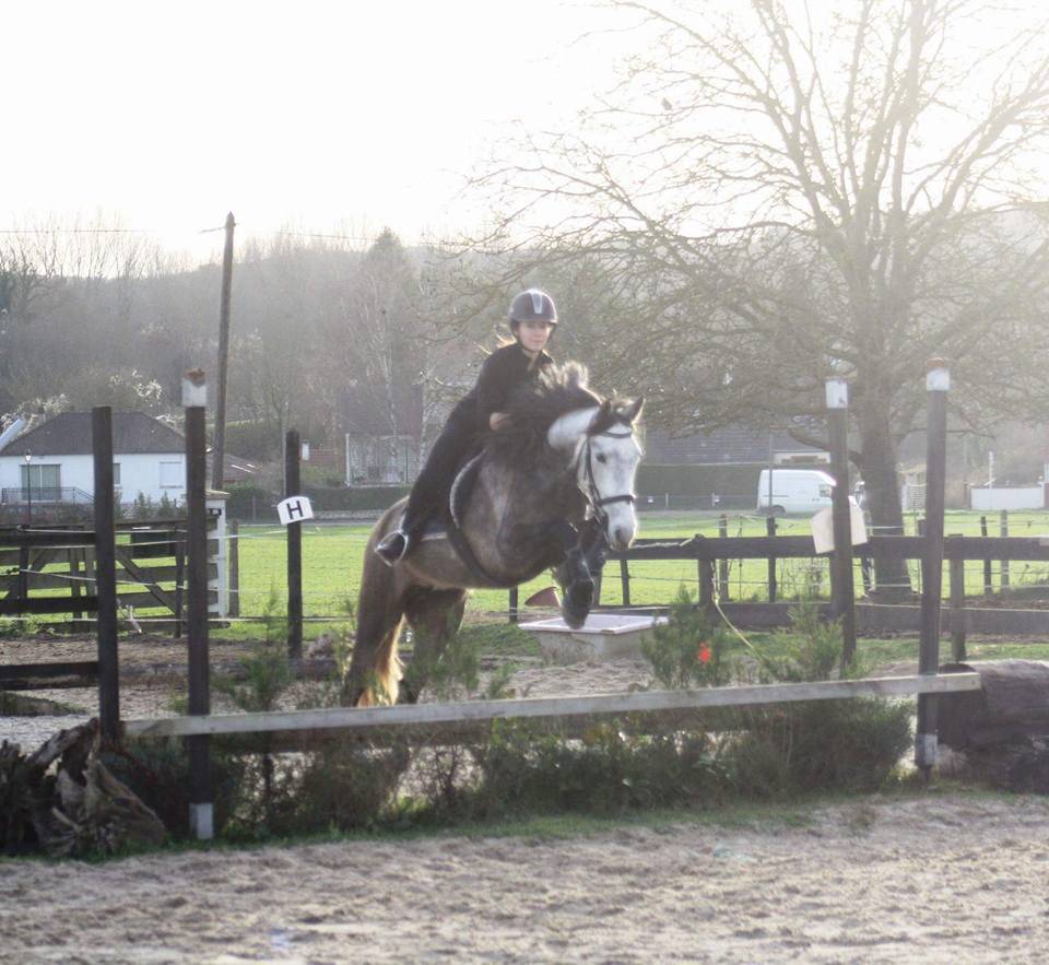 91/ Pension Paddock box, 100% pr&eacute; proche Milly la for&ecirc;t
