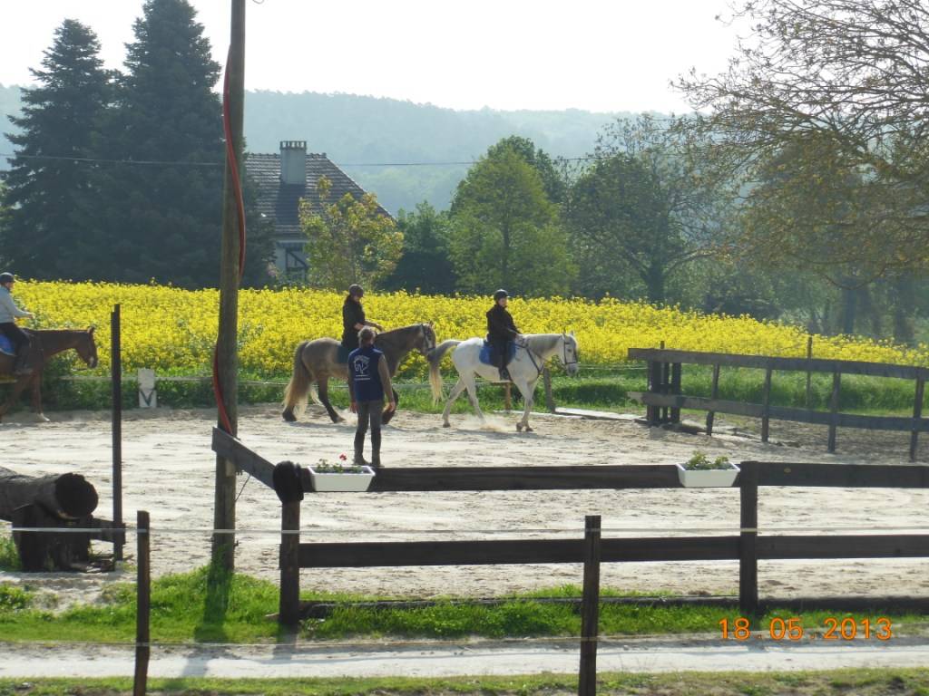 91/ Pension Paddock box, 100% pr&eacute; proche Milly la for&ecirc;t