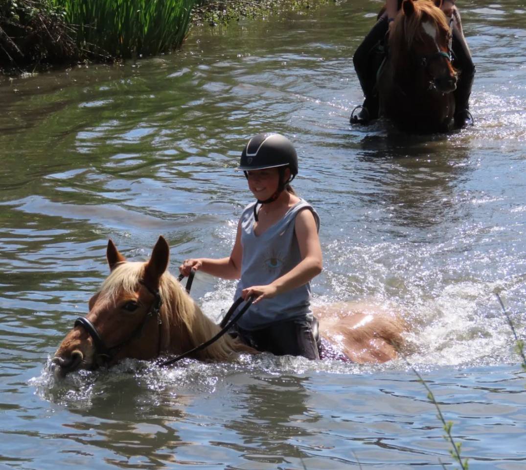 Pension cheval Gr&eacute;oux les bains (04) - CE Ch&acirc;teau Laval