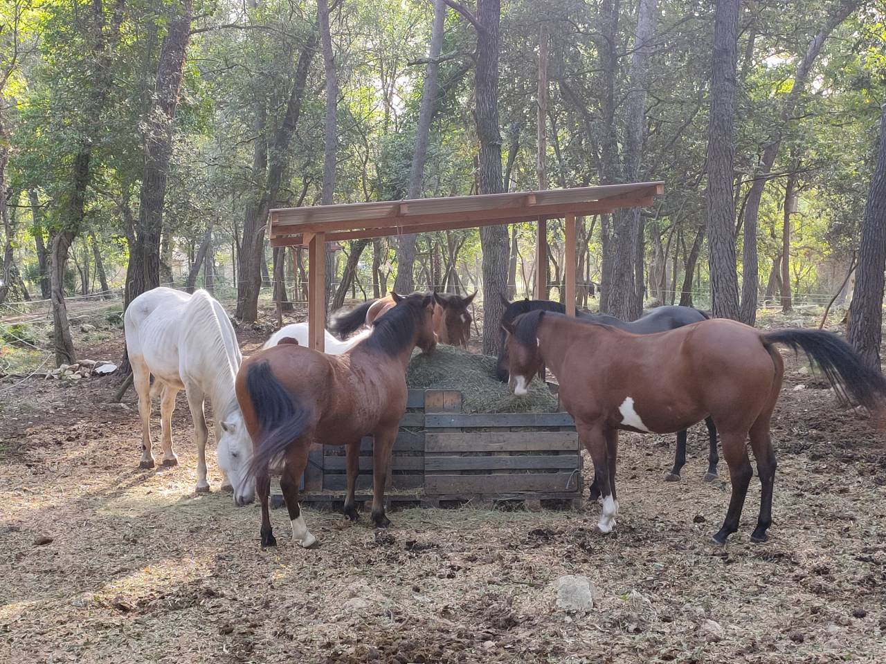 La bande &agrave; Fakir, une pension &eacute;quine au naturel