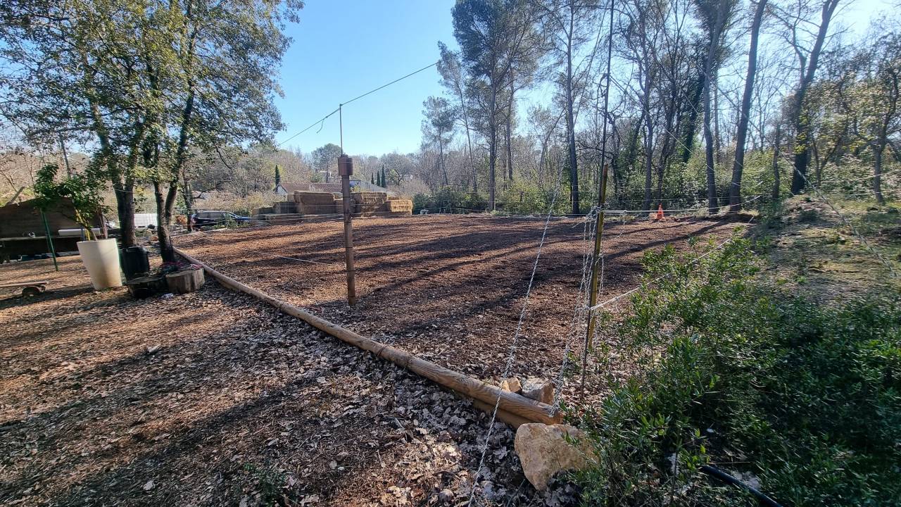 La bande &agrave; Fakir, une pension &eacute;quine au naturel