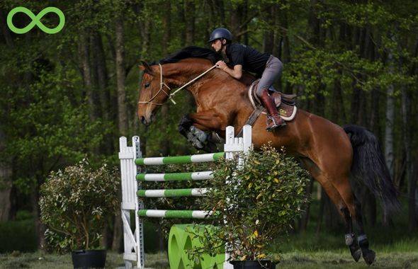Formation Internationale la Cense