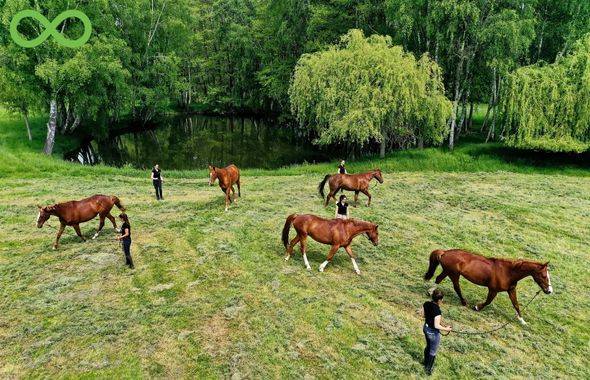 Formation Internationale la Cense